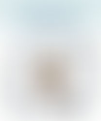 Recomendaciones para viajeros Internacionales de negocios...