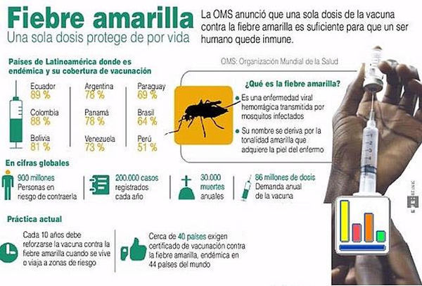 Vacuna Fiebre Amarilla en Monterrey