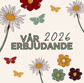 Vårerbjudande 2026 MVJ Marketing