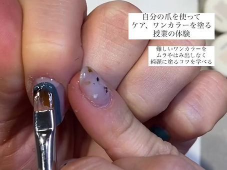 スクール無料体験実施中✨