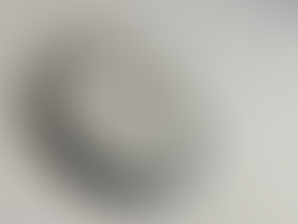 Production Journal - Filming the Documentary