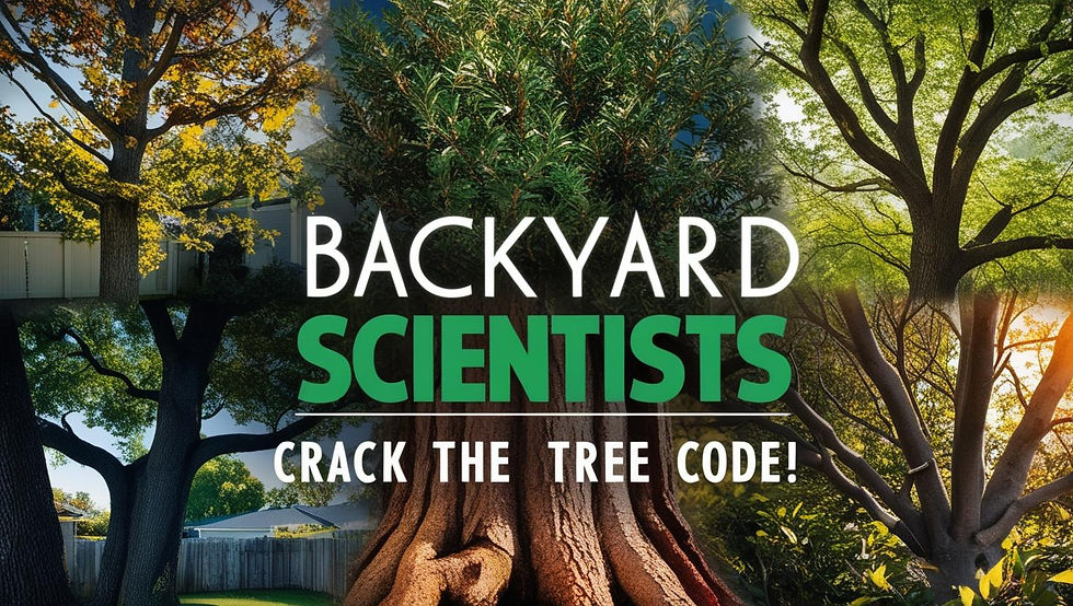 Backyard Scientists: Crack the Tree Code!