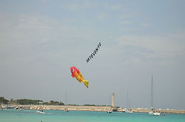 DSCN0837.JPG