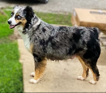 IMG_2247_Facetune_27-05-2021-09-34-57.HE