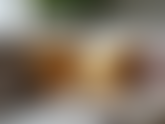 Understanding Modern Property Staging: Emphasizing Comfort and Biophilic Design Trends