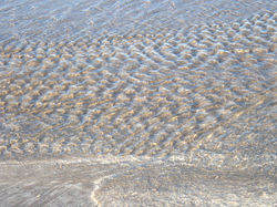 On the New Zealand Coast