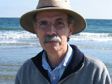 Retired teacher finds success in second career, as a mystery novelist