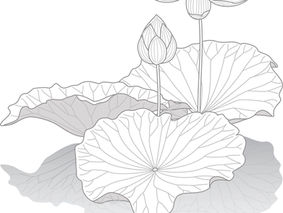 Pain as a Spiritual Teacher: How Discomfort Leads Us to Sadhana