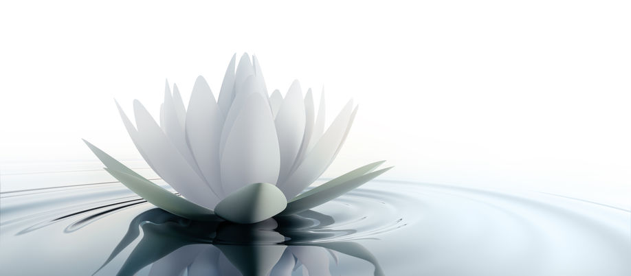 Yoga & The Nervous System: A Path to Balance & Wellbeing