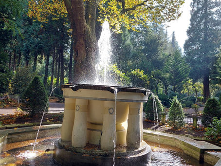 Kremierte Kötten- Der Werler Parkfriedhof