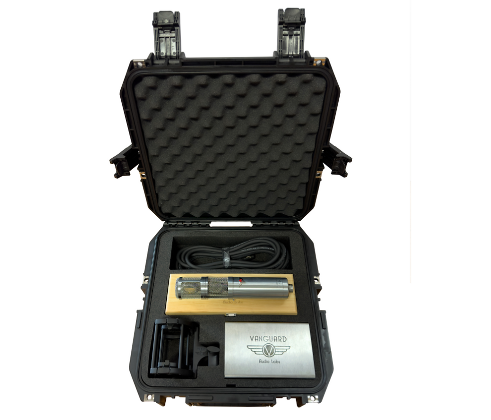 ภาพขนาดย่อ: Vanguard Audio Labs V14 Variable-Voltage Tube Condensor