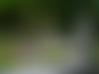 How to Properly Clean and Restore a Gravestone