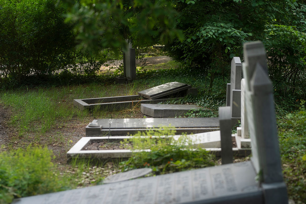 Headstone Restoration How to Clean and Restore a Gravestone