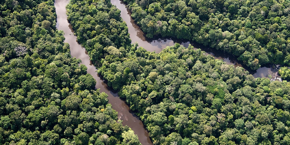 Climate Data Analytics in the Catastrophe World