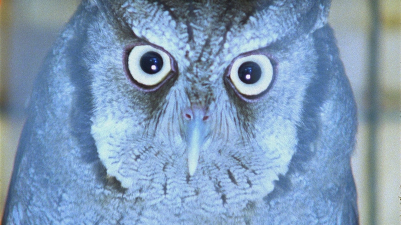 image-w1280.webp