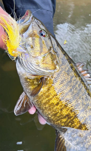 IMG_1767 - Copy_edited.jpg