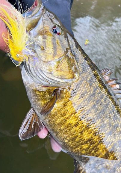 IMG_1767 - Copy_edited.jpg