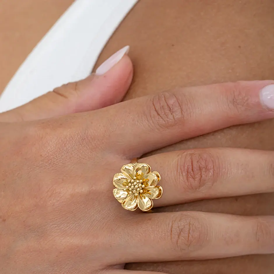 Miniature : Bague pivotante