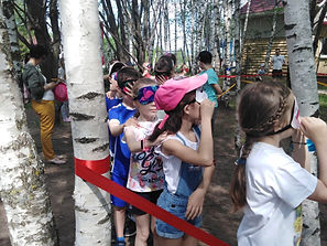 изображение_viber_2021-05-16_17-16-39.jp