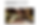 Screenshot 2026-04-29 165528.png