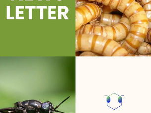 Highlights from 2025 and a Look Ahead to 2026