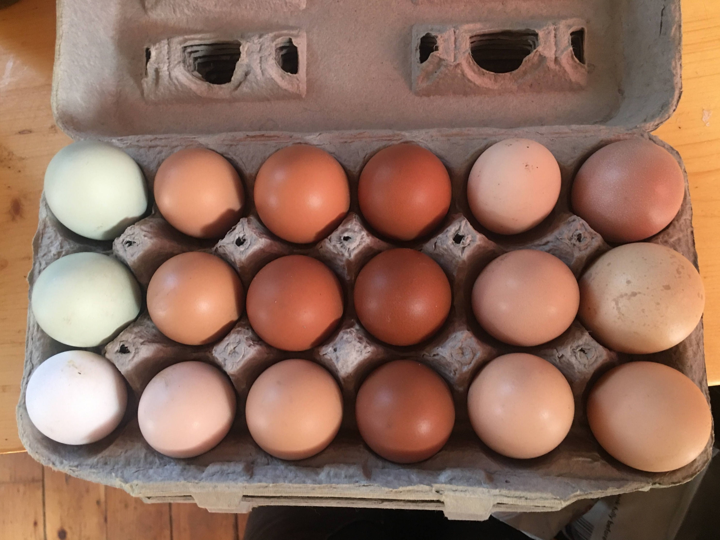 Bi-Weekly Egg CSA