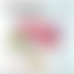 Kaleidoscope of Memoirs: GTF x Elsiewithlove First Stamp Rally in Penang