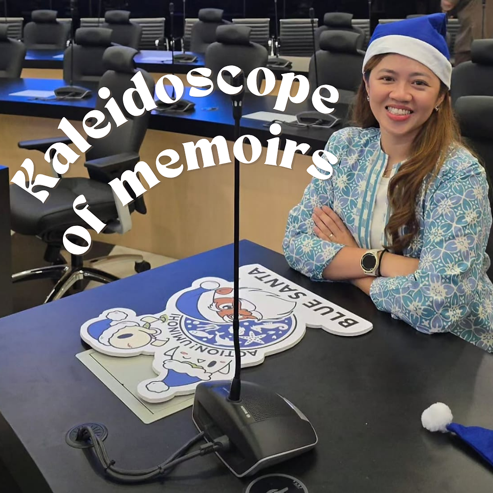 Kaleidoscope of Memoirs: Blue Santa Project Press Conference at City Hall Penang