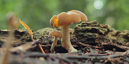 20250724_142327.jpg