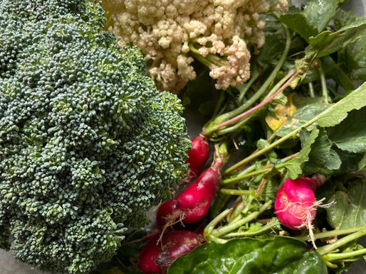 מהגינה לצלחת- סדנת הדגל שלי!