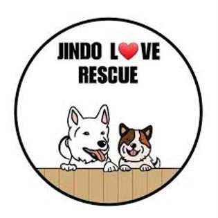 jindo love rescue