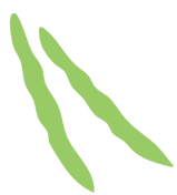 beans.png
