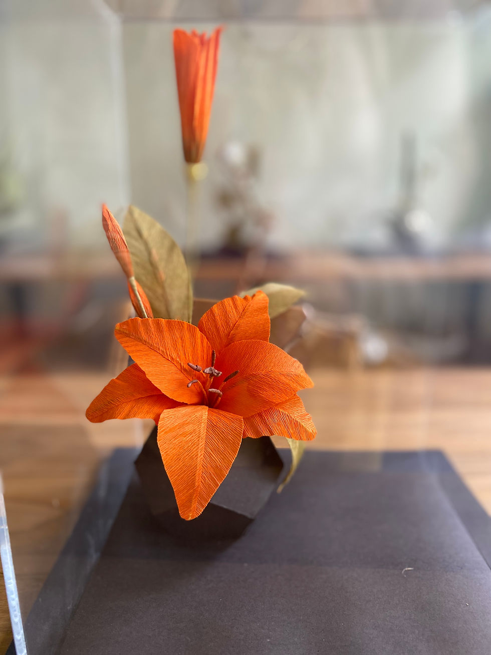 Floresça por onde For (3)
