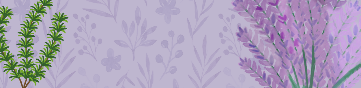 barra site 28x7 cm.png