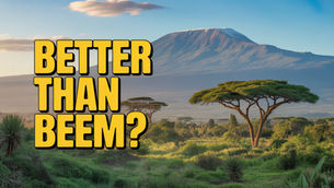 Beem Africa alternatives in Tanzania