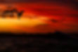 AM-_49R3118-Enhanced-NR.jpg