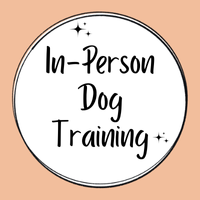 In-Person Dog Training
