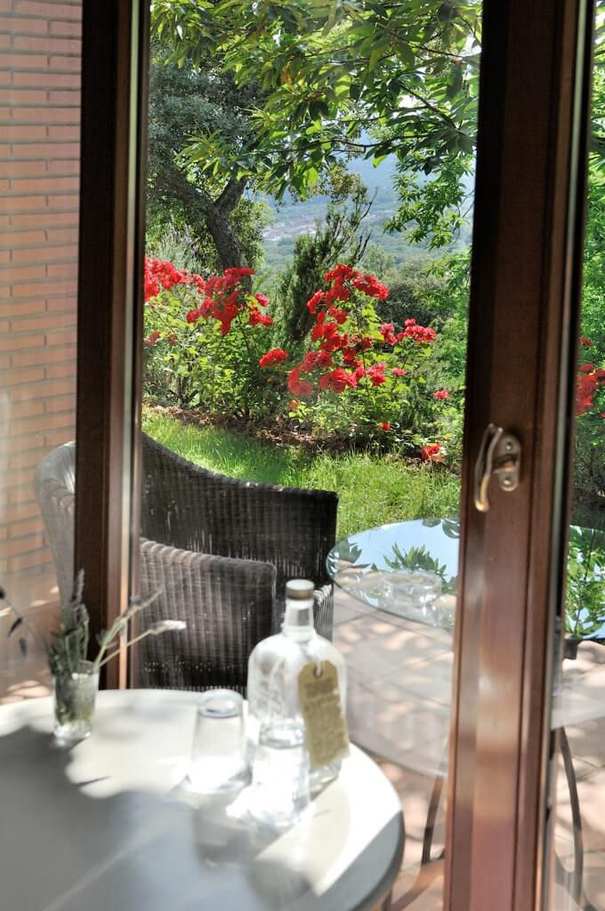 Agua terraza y rosal2015