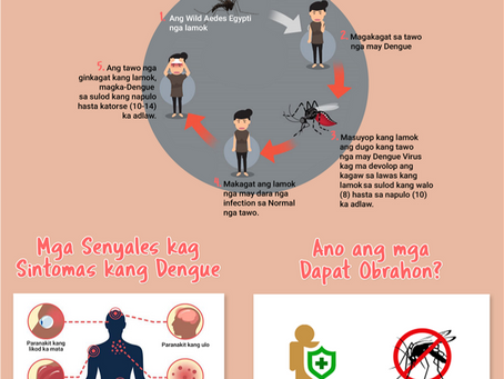 Let's Prevent Dengue Outbreak!
