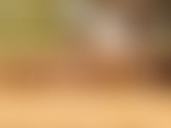 The Trans-formative Power of Gratitude