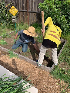 garden work--2 students digging.jpeg