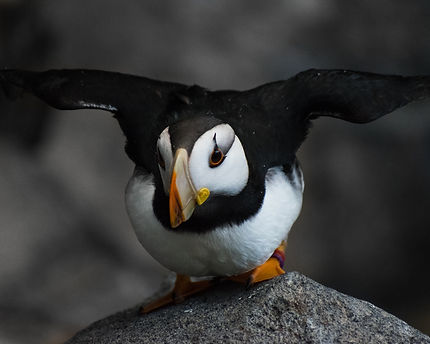 DSC_6118.jpg