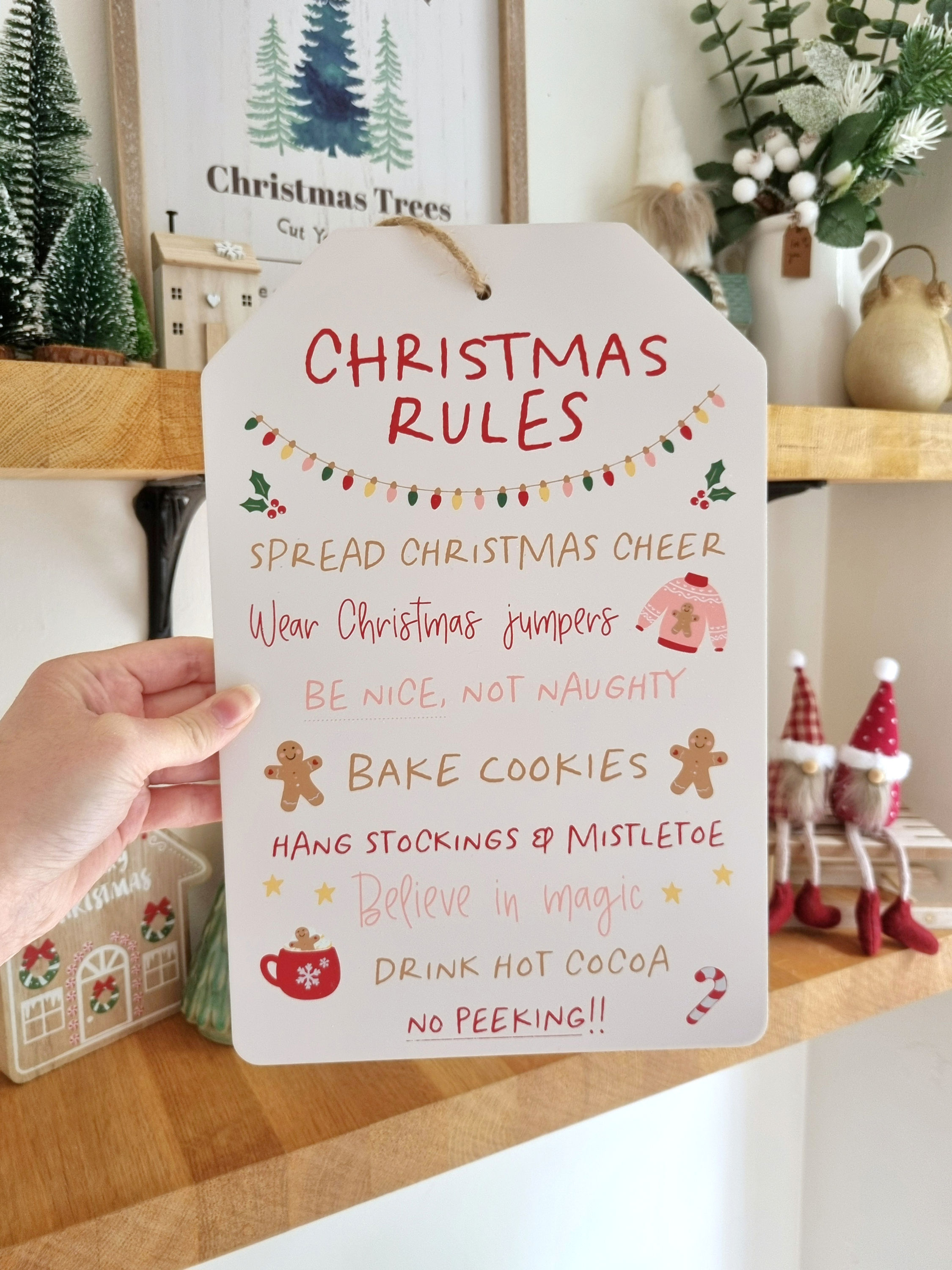 Fun Festive Christmas Rules Hanging Sign