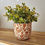 Thumbnail: Imperfectly Perfect Orange Floral Plant Pot
