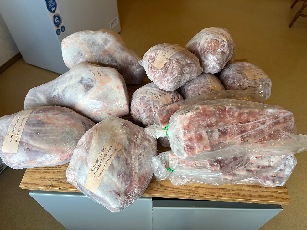 package with variety of lamb meat cuts