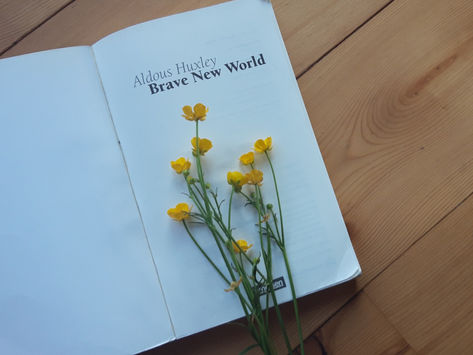 Schöne neue Welt
