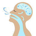 istockphoto-926051092-170667a.jpg