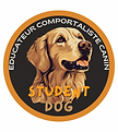 Minimalist Orange Retro Illustration Dog Salon Logo.png