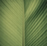 Blatt