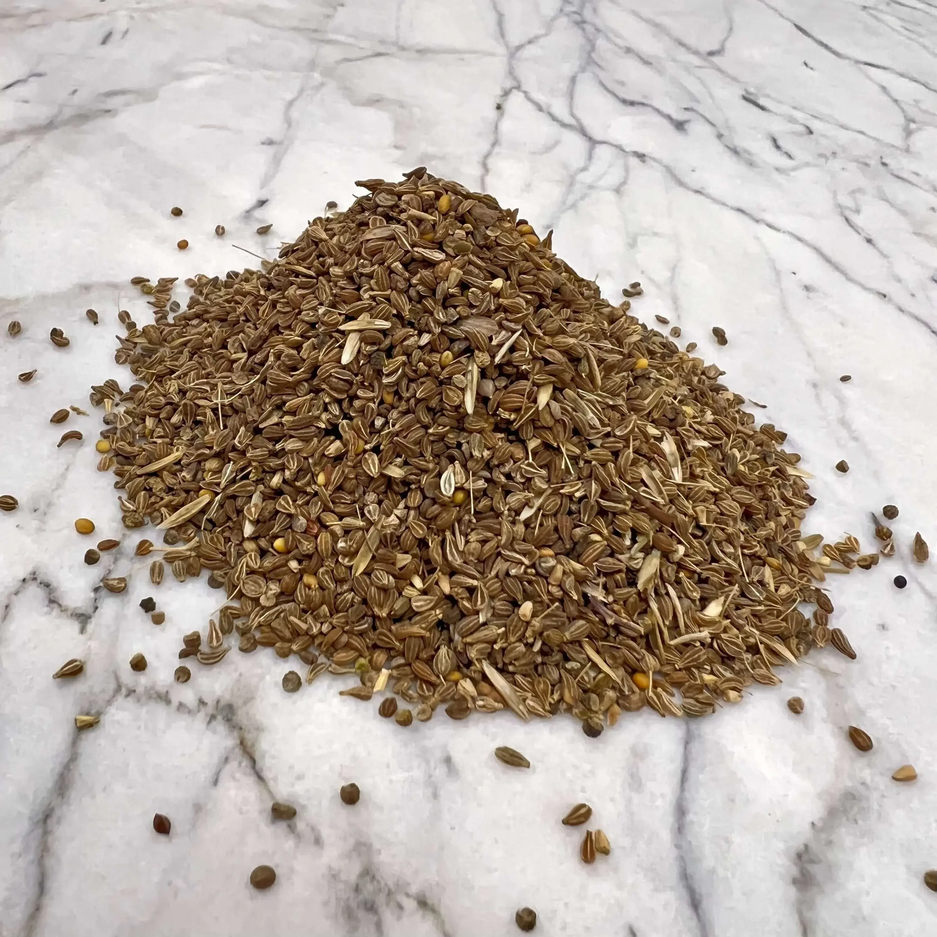 Graines d'anis 25g